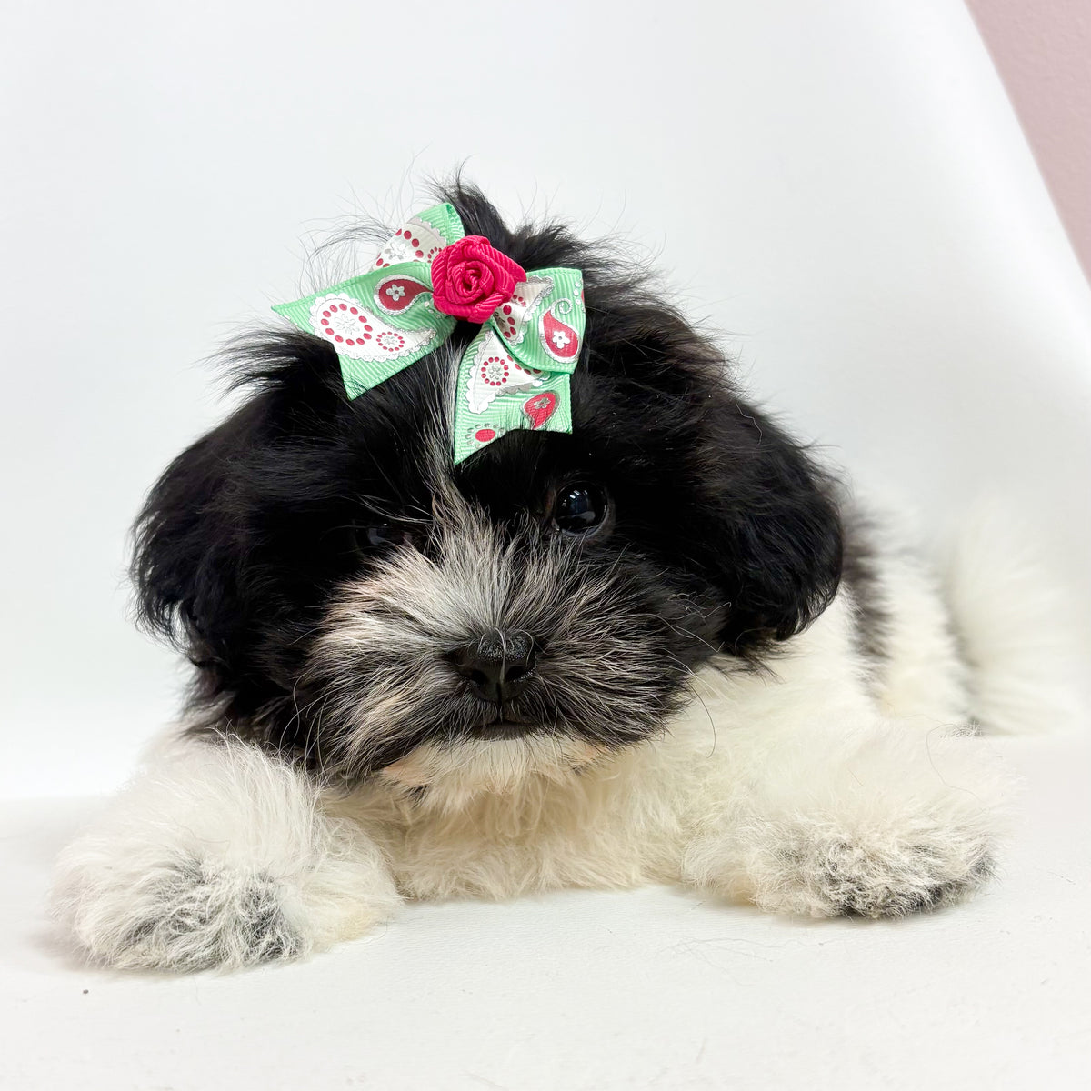 Maggie- Female Teddy Bear