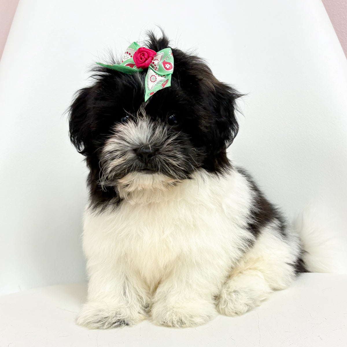 Maggie- Female Teddy Bear